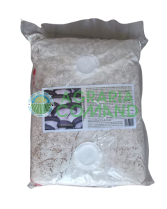 Seme micelio pleurotus