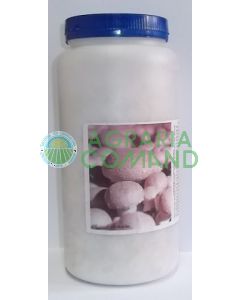 Micelio_fresco_di_prataiolo_crema