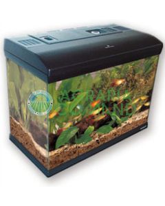 acquario-mirabello-60 acquario-mirabello-60