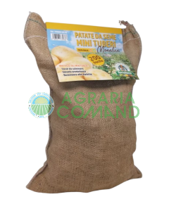 sacchetto monalisa 200 buche sacchetto monalisa 200 buche