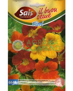 Capucine ou mélange simple de haute capucine