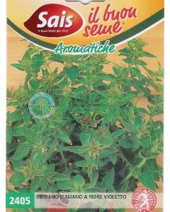 ORIGAN ITALIEN À FLEURS VIOLETTES