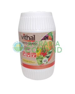 Orto sano Vithal
