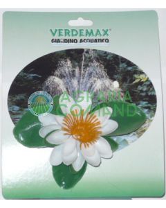 NÉNUPHAR BLANC FLOTTANT