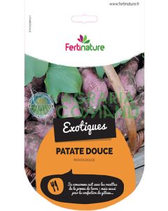 Patata_americana_dolce Patata_americana_dolce