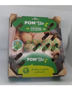 Pommes de terre Charlotte bio