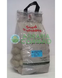 Patate_da_seme_varietà_Triplo_90_mini_tuberi Patate_da_seme_varietà_Triplo_90_mini_tuberi