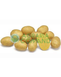 Patate a pasta giallo arancio