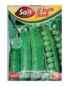 POIS NAINS PROGRESS NO.9