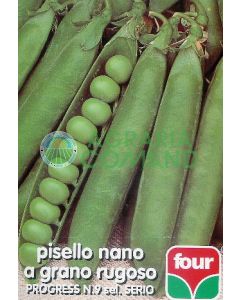 Pisello nano progress