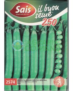 POIS RIDÉ NAVONA NAIN GR.250