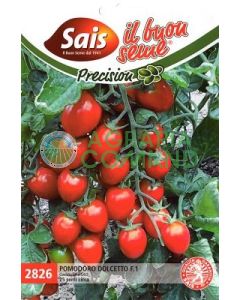 pomodoro ciliegino dolcetto Sais