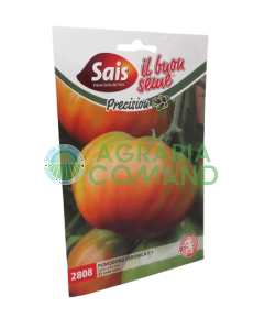 Tomate hybride Veronica Sais