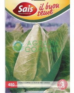 GROS CHOU DE BŒUF GROS CHOU DE BŒUF