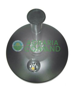 MAGICIEN DE L'ÉTANG