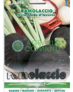 BRINDILLE NOIRE D'HIVER BRINDILLE NOIRE D'HIVER