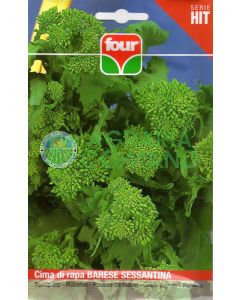 Seme di cima di rapa Barese Sessantina