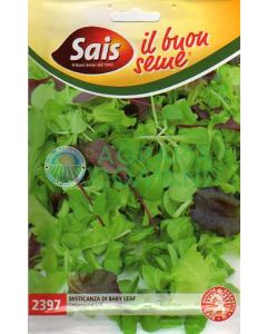 Misticanza Baby Leaf Sais