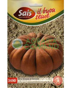 Zucca Musquée de Provence
