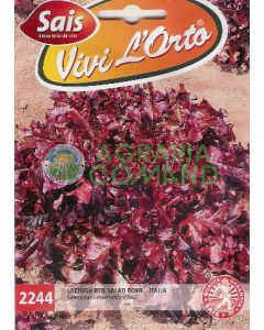 Saladier rouge laitue