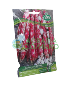 Enveloppe de semences de haricots nains Schumi Olter