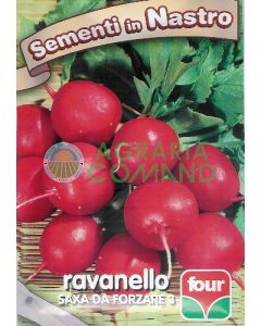 Radis saxa à forcer 3 rubans 7,5 mètres