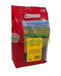 Semi di Niger per uccelli