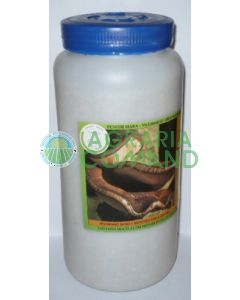 Bottiglia micelio fresco Shii Take Bottiglia micelio fresco Shii Take