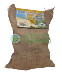 Sacchetto spunta 200 buche