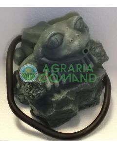 Statue de grenouille aux grands yeux