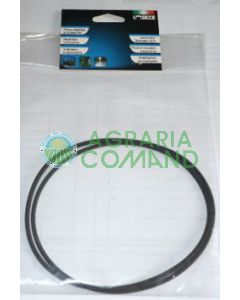 o ring filtro Green Reset 25 40 Sicce