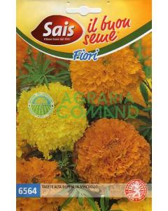 Grand souci double en mélange