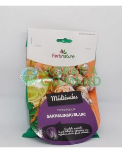 Topinambur rizoma bianco Topinambur rizoma bianco