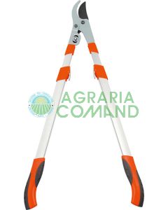 Troncarami_taglio_bypass_2094