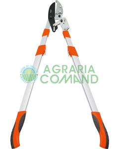 Troncarami telescopico a cricchetto