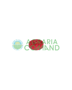 Buse de rechange pour le microniseur Volpi M3000