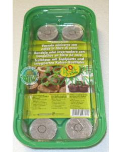 MINISERRA AVEC GOMMES EN FIBRE DE COCO (10 gaufrettes)