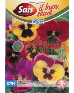 Mélange de pensées suisses géantes