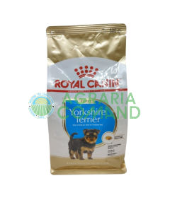 Yorkshire Terrier cucciolo 500gr