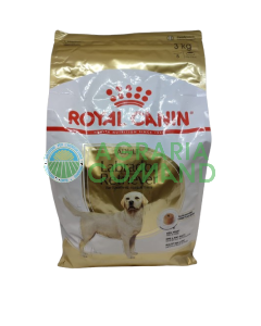 Labrador Retriever ADULT Croquettes kg 3 Royal Canin