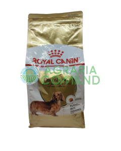 Teckel Teckel ADULT Croquettes kg 1.5 Royal Canin