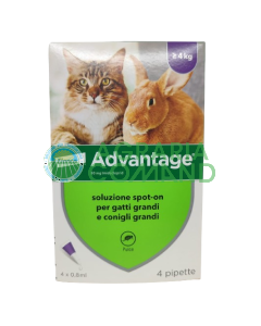 Elanco Advantage gatto e coniglio