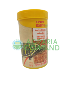 Raffy I sera 36 gr