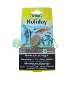 Aquarium Tetra Holiday