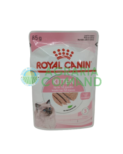 kitten royal canin pate Gatto