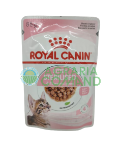 kitten sterilised bocconcini gatto