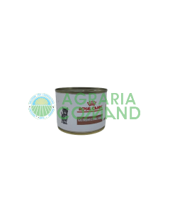gastrointestinal kitten royal canin 195 gr