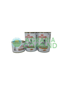 GASTROINTESTINAL Cane Royal Canin
