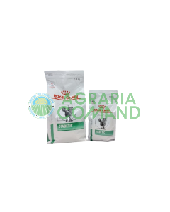 DIABETIC Royal Canin Gatto Secco
