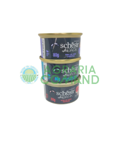 schesir after dark 80 gr gatto schesir after dark 80 gr gatto